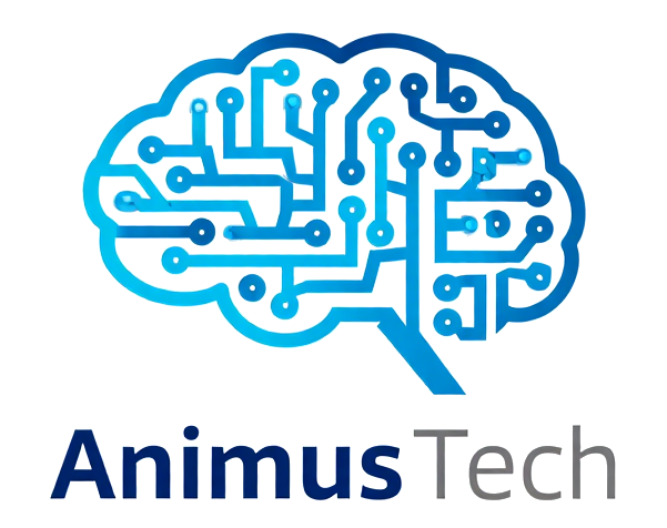 Animus Tech | Transforming Ideas Into Digital Reality